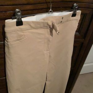 Lane Bryant dress ankle pant NWOT size 18